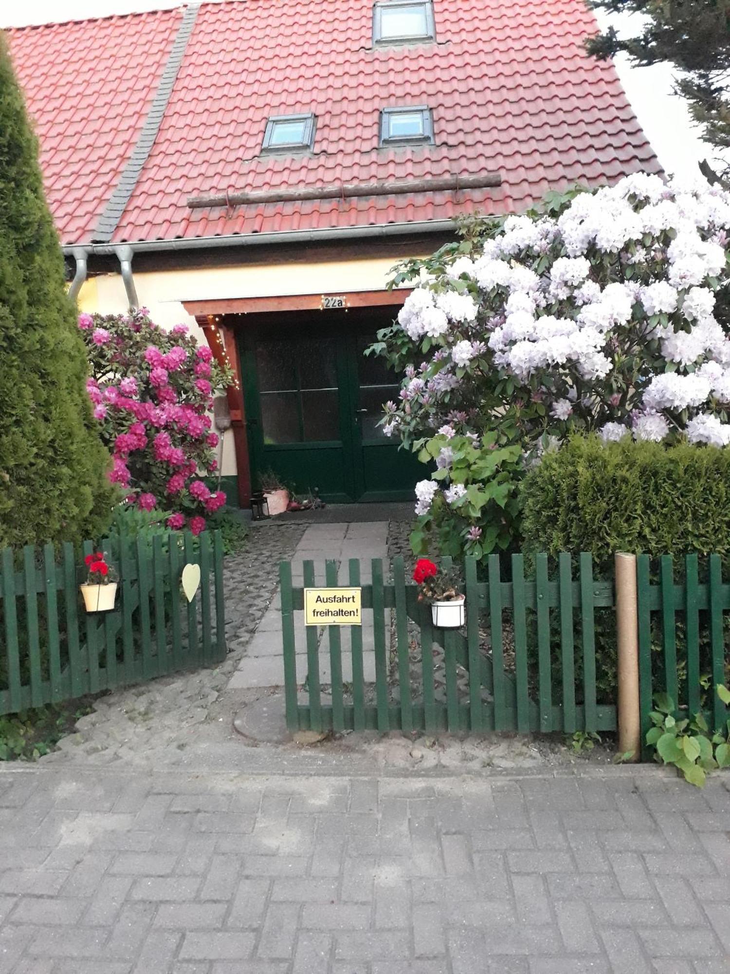 塔勒Harzglueck别墅 外观 照片